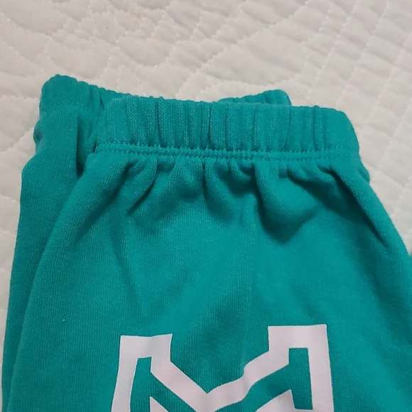 Victoria's Secret PINK Classic Joggers, Size S, Teal - Picture 5 of 10